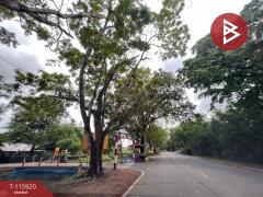 ขายที่ดิน เนื้อที่ 98 ตร.วา สามพราน นครปฐม-202507091128101752035290440.jpg