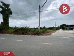 ขายที่ดิน เนื้อที่ 98 ตร.วา สามพราน นครปฐม-202507091128101752035290978.jpg