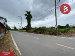 ขายที่ดิน เนื้อที่ 98 ตร.วา สามพราน นครปฐม-202507091128111752035291507.jpg