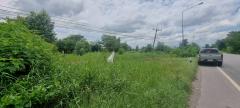 ขายที่ดินเปล่าขนาด 3 ไร่ 1 งาน 55 ตร.ว. ตำบลบางอ้อ อำเภอบ้านนา นครนายก-202507091147161752036436508.jpg