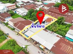 ขายที่ดินพร้อมสิ่งปลูกสร้าง เนื้อที่ 130 ตารางวา บ้านแพง นครพนม-202507091231531752039113593.jpg