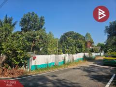 ขายที่ดิน เนื้อที่ 88 ตร.วา ลาดหลุมแก้ว ปทุมธานี-202507091251411752040301943.jpg