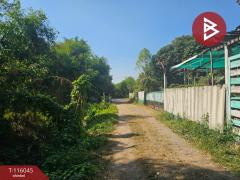 ขายที่ดิน เนื้อที่ 88 ตร.วา ลาดหลุมแก้ว ปทุมธานี-202507091251431752040303069.jpg