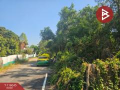 ขายที่ดิน เนื้อที่ 88 ตร.วา ลาดหลุมแก้ว ปทุมธานี-202507091251441752040304678.jpg