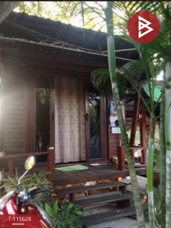 ขายโรงแรมพร้อมที่ดิน เนื้อที่ 1 ไร่ 76 ตร.วา ชุมแพ ขอนแก่น-202507091302051752040925073.jpg