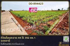 DD-894423 ที่ดินโนนสะอาด 44 ไร่ 392 ตร.ว. อุดรธานี ใกล้ไปรษณีย์ สาขาโนนสะอาด