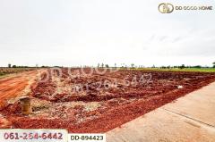 DD-894423 ที่ดินโนนสะอาด 44 ไร่ 392 ตร.ว. อุดรธานี ใกล้ไปรษณีย์ สาขาโนนสะอาด-202507091337381752043058736.jpg