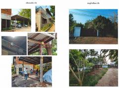 ขายด่วน (ขาดทุน) ที่ดินพร้อมสิ่งปลูกสร้าง เป็นบ้านพักอาศัยพร้อมเฟอร์ โกดัง นาข้าว บ่อน้ำ พื้นที่เกือบ 5 ไร่ ตำบลสำราญ เมืองขอนเแก่น ใกล้ตัวเมืองขอนแก่น 12 กม.-202507091340461752043246801.jpg