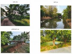ขายด่วน (ขาดทุน) ที่ดินพร้อมสิ่งปลูกสร้าง เป็นบ้านพักอาศัยพร้อมเฟอร์ โกดัง นาข้าว บ่อน้ำ พื้นที่เกือบ 5 ไร่ ตำบลสำราญ เมืองขอนเแก่น ใกล้ตัวเมืองขอนแก่น 12 กม.-202507091341111752043271173.jpg