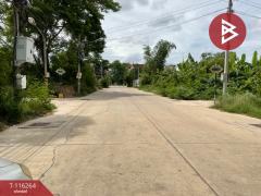 ขายที่ดิน เนื้อที่ 81.2 ตร.วา อุทัยใหม่ อุทัยธานี-202507091358161752044296002.jpg