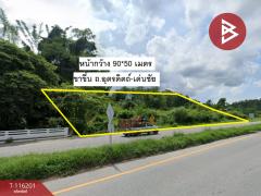 ขายที่ดิน เนื้อที่ 3 ไร่ 3 งาน 56 ตารางวา ท่าอิฐ อุตรดิตถ์-202507091406071752044767705.jpg