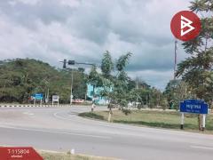 ขายอาคารพาณิชย์ ถ.สองแคว เนื้อที่ 77.3 ตร.วา ในเวียง แพร่-202507091412551752045175655.jpg