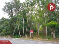 ขายที่ดิน เนื้อที่ 3 ไร่ 3 งาน 95.0 ตร.วา พระพรหม นครศรีธรรมราช