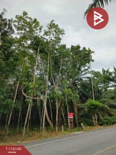 ขายที่ดิน เนื้อที่ 3 ไร่ 3 งาน 95.0 ตร.วา พระพรหม นครศรีธรรมราช-202507091423341752045814413.jpg
