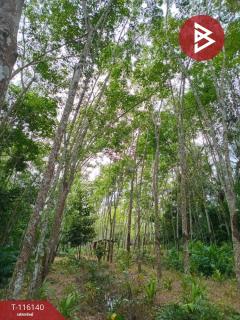 ขายที่ดิน เนื้อที่ 3 ไร่ 3 งาน 95.0 ตร.วา พระพรหม นครศรีธรรมราช-202507091423361752045816807.jpg
