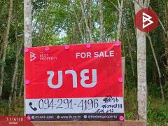 ขายที่ดิน เนื้อที่ 3 ไร่ 3 งาน 95.0 ตร.วา พระพรหม นครศรีธรรมราช-202507091423371752045817895.jpg
