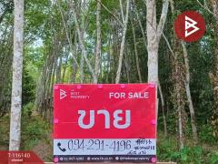 ขายที่ดิน เนื้อที่ 3 ไร่ 3 งาน 95.0 ตร.วา พระพรหม นครศรีธรรมราช-202507091423381752045818450.jpg