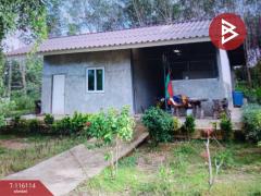 ขายที่ดินพร้อมสิ่งปลูกสร้าง เนื้อที่ 5 ไร่ ต.ท่ากุ่ม เมืองตราด-202507091442421752046962128.jpg