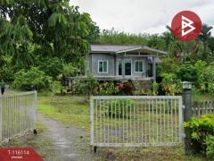 ขายที่ดินพร้อมสิ่งปลูกสร้าง เนื้อที่ 5 ไร่ ต.ท่ากุ่ม เมืองตราด-202507091442421752046962676.jpg