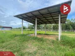 ขายบ้านเดี่ยวพร้อมที่ดิน เนื้อที่ 5 ไร่ 14 ตร.วา นายม อำนาจเจริญ-202507091515431752048943859.jpg