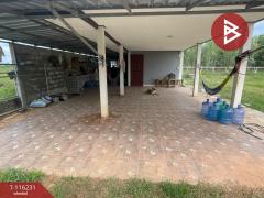 ขายบ้านเดี่ยวพร้อมที่ดิน เนื้อที่ 5 ไร่ 14 ตร.วา นายม อำนาจเจริญ-202507091515441752048944413.jpg