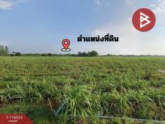 ขายที่ดิน เนื้อที่ 13 ไร่ 2 งาน 5 ตร.วา โพธาราม ราชบุรี