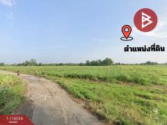 ขายที่ดิน เนื้อที่ 13 ไร่ 2 งาน 5 ตร.วา โพธาราม ราชบุรี-202507091528491752049729044.jpg