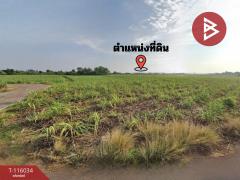 ขายที่ดิน เนื้อที่ 13 ไร่ 2 งาน 5 ตร.วา โพธาราม ราชบุรี-202507091528491752049729574.jpg
