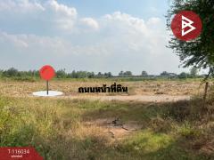ขายที่ดิน เนื้อที่ 13 ไร่ 2 งาน 5 ตร.วา โพธาราม ราชบุรี-202507091528501752049730107.jpg