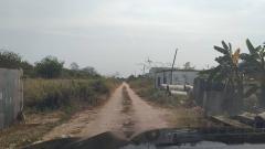 ขายที่ดิน 200 ตรว. คลอง12 เท่าราคาประเมิน-202507091541411752050501368.jpg