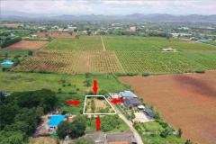 ขายที่ดินเขาใหญ่ ปากช่อง ในกองวัคซีน ซอยบ่อโยก 1 ติดถนน 3 ด้าน ใกล้ถนนมิตรภาพเพียง 1.8 กม. คุณโอ๋ 098-097-8715