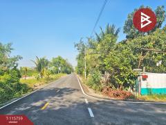 ขายที่ดิน เนื้อที่ 88 ตร.วา ลาดหลุมแก้ว ปทุมธานี-202507091630441752053444921.jpg