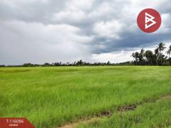 ขายที่ดิน เนื้อที่ 2 ไร่ 1 งาน 85 ตร.วา อัมพวา สมุทรสงคราม-202507091639591752053999556.jpg