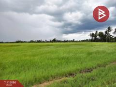 ขายที่ดิน เนื้อที่ 2 ไร่ 1 งาน 85 ตร.วา อัมพวา สมุทรสงคราม-202507091640001752054000122.jpg