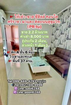 #ให้เช่า-ขาย ซีฮิลล์ คอนโด ศรีราชา ผาแดง ติดถนนสุขุมวิท（PR:tu)