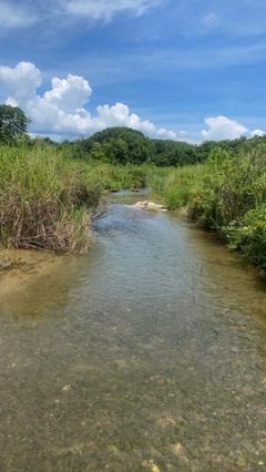 หาที่สวยวิวดีเงื่อนไขสบาย  ขายที่ดินติดลำธารน้ำใสไหลริน ชุ่มฉ่ำตลอดปี สวยวิวล้าน 800000บาท 3-0-35ไร่ อำเภอสันติสุข น่าน