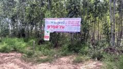 ที่ดินพร้อมสวนป่ายูคาลิปตัส 20-0-18 ไร่ (2แปลงติดกัน) ต.สันป่าตอง อ.นาเชือก จ.มหาสารคาม