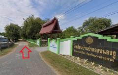 ที่ดินพร้อมสวนป่ายูคาลิปตัส 20-0-18 ไร่ (2แปลงติดกัน) ต.สันป่าตอง อ.นาเชือก จ.มหาสารคาม-202507101336191752129379425.jpg
