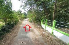 ที่ดินพร้อมสวนป่ายูคาลิปตัส 20-0-18 ไร่ (2แปลงติดกัน) ต.สันป่าตอง อ.นาเชือก จ.มหาสารคาม-202507101336191752129379925.jpg