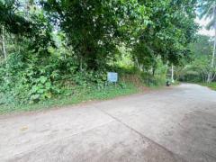 Seize the Opportunity Expansive Land for Lease on Phithak Thong Road with Waterfall Access for Rent in Land in Lipanoi Koh Samui Surat