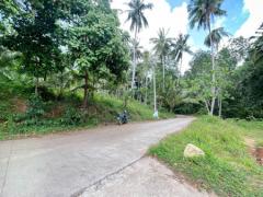  3 Rai Chanote Land in Lipa Noi, Perfect for Business or Resort Land Plot For Sale in Lipanoi Koh Samui Thailand Property for Sale 