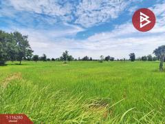 ขายที่ดิน เนื้อที่ 10 ไร่ ต.หนองตาด จ.บุรีรัมย์ ราคาถูก-202507102219221752160762058.jpg