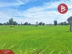 ขายที่ดิน เนื้อที่ 10 ไร่ ต.หนองตาด จ.บุรีรัมย์ ราคาถูก-202507102219221752160762603.jpg