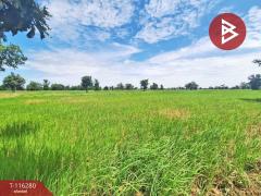 ขายที่ดิน เนื้อที่ 10 ไร่ ต.หนองตาด จ.บุรีรัมย์ ราคาถูก-202507102219231752160763146.jpg
