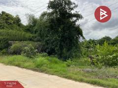 ขายที่ดิน เนื้อที่ 1 งาน 8.2 ตร.วา อุทัยใหม่ อุทัยธานี-202507102311051752163865944.jpg