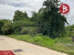 ขายที่ดิน เนื้อที่ 1 งาน 8.2 ตร.วา อุทัยใหม่ อุทัยธานี-202507102311071752163867881.jpg