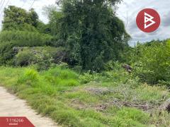 ขายที่ดิน เนื้อที่ 1 งาน 8.2 ตร.วา อุทัยใหม่ อุทัยธานี-202507102311081752163868419.jpg