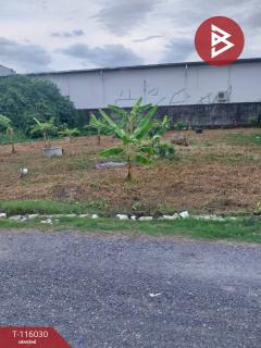 ขายที่ดิน เนื้อที่ 1 งาน 35 ตร.วา คลองหลวง ปทุมธานี-202507110946181752201978957.jpg