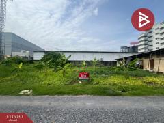 ขายที่ดิน เนื้อที่ 1 งาน 35 ตร.วา คลองหลวง ปทุมธานี-202507110946201752201980604.jpg