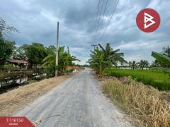 ขายที่ดิน-เนื้อที่-19-ไร่-84-ตร.วา-หนองจ